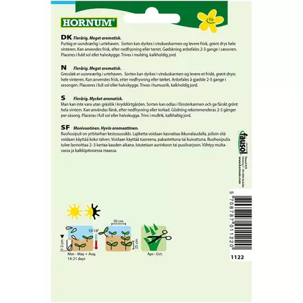 ruohosipuli ruukkuun tai avomaalle, hornum - Siemenet - 5708787011220 - 2
