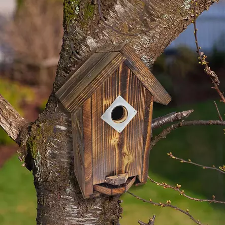 kotimainen linnunpönttö 32mm lentoaukolla - Lintulaudat, pöntöt ja hyönteishotellit - 6430068431630 - 2