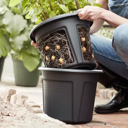 perunan istutusruukku - Kasvihuoneet ja viljelylaatikot - 5700002064400 - 2