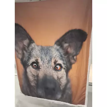 Viltti koiran kuvalla - Torkkupeitot ja sisustushuovat - 6438168117140 - 6