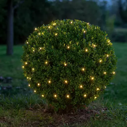 Jouluvalot pensaalle - Kuusenvalosarjat ja valoverkot - 8719202259230 - 2