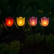 Aurinkokennovalaisin tulppaani - Aurinkokennovalaisimet - 8721037134750 - 2