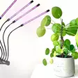 kasvivalo klipsillä led - Ladattavat valaisimet - 6419774000590 - 1