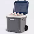 Igloo kylmäarkku 29l - Kylmälaukut - 0034223350260 - 2