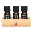 Saunatuoksu rento löylytuoksu kolme tuoksua 10ml - Löylytuoksut ja tekstiilit - 6410416596020 - 1