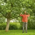 Gardena telecut pro l teleskooppiraivaussakset käytössä puutarhassa - Puutarhasakset ja pensassakset - 4066407022140 - 3
