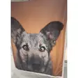 Viltti koiran kuvalla - Torkkupeitot ja sisustushuovat - 6438168117140 - 6