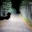työvalo led pyöreä bullboy agriline - Työvalot - 6438255001970 - 5
