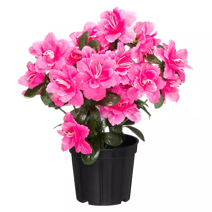 Atsalea fuksia ruukussa - Tekokasvit ja tekokukat - 6410416529660 - 1