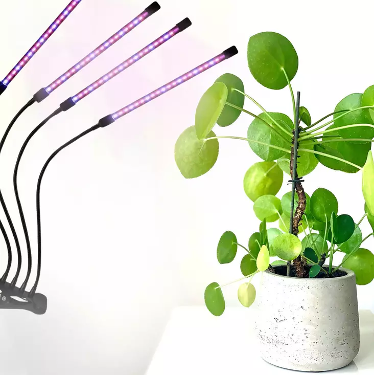 kasvivalo klipsillä led - Ladattavat valaisimet - 6419774000590 - 1