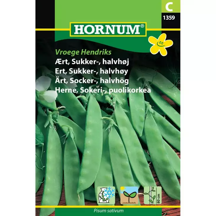 hornum sokeriherne, varhainen lajike - Siemenet - 5708787013590 - 1