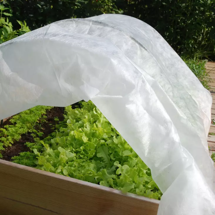 Leveä kateharso viljelyksille - Kateharsot - 6430040625590 - 1