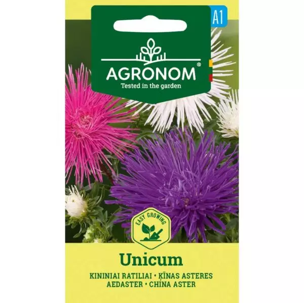 Asteri unicum kesäkukat - Siemenet - 4770168228870 - 1