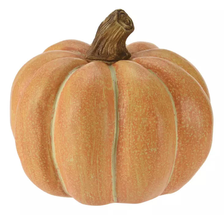 Kurpitsa - Koriste-esineet - 8720573766920 - 1