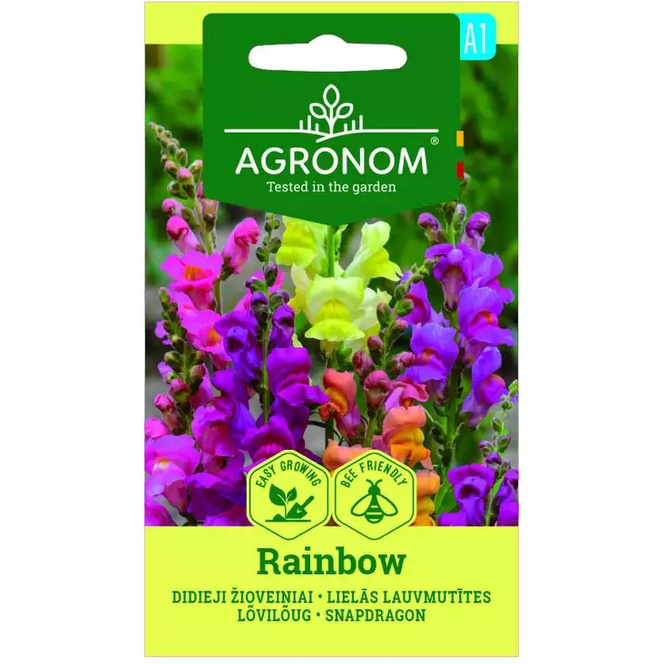 Rainbow leijonankita - Siemenet - 4770168278080 - 1