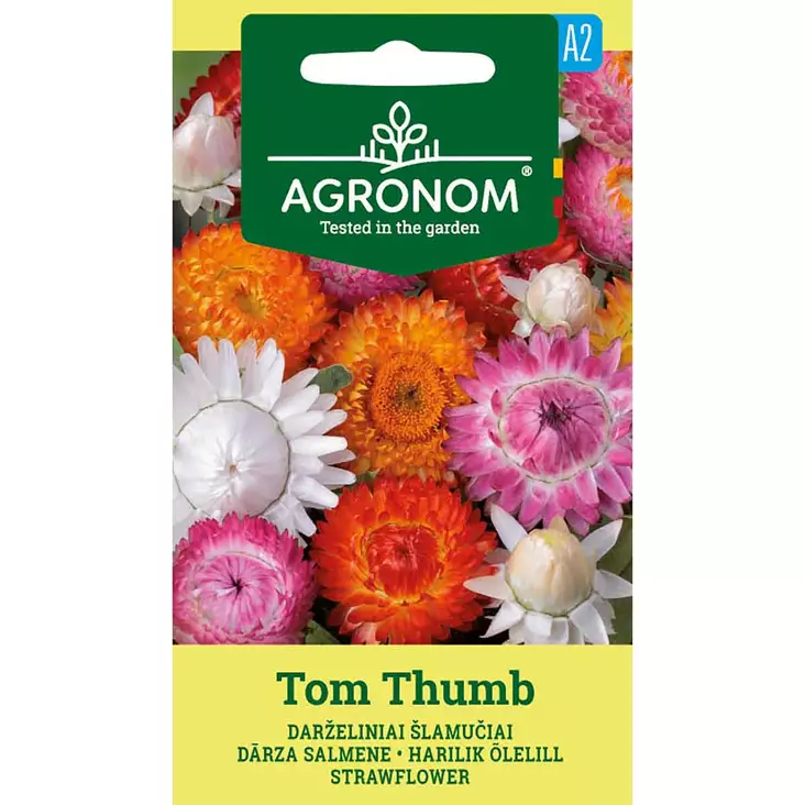 Olkikukka tom thumb kirkasväriset kukat - Siemenet - 4770168920040 - 1