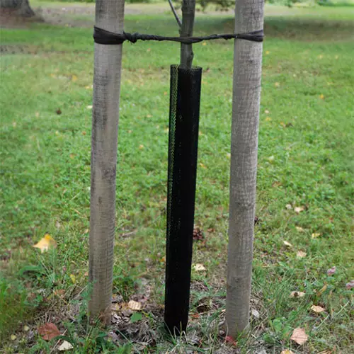 Musta suojaverkko puunrunkoon - Runkosuojat - 6430068433160 - 1