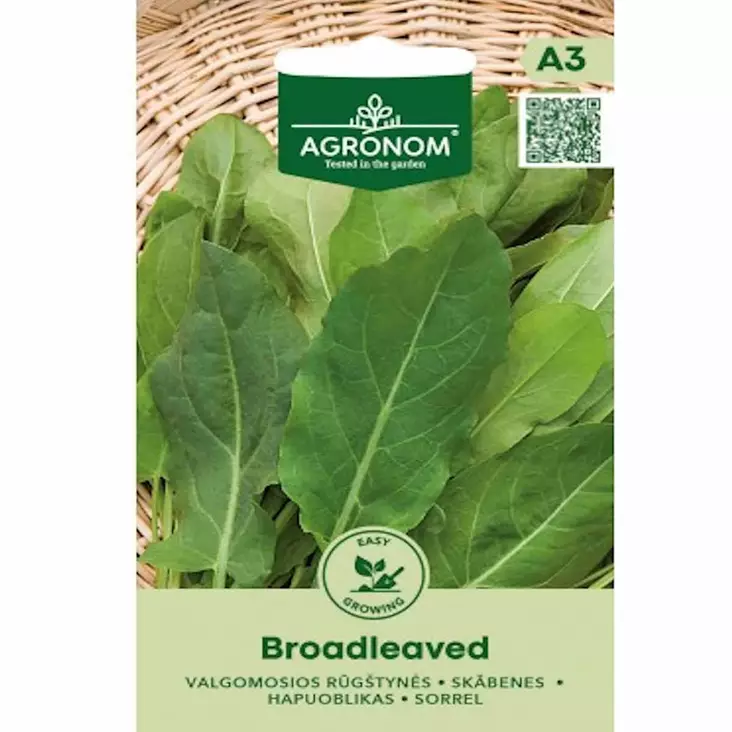 Suolaheinä broadleaved monivuotinen lehtivihannes kasvussa - Siemenet - 4770168925410 - 1