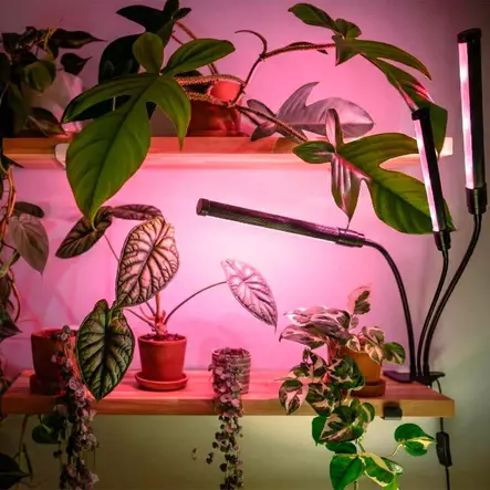 Kolmivartinen led kasvivalo värillisellä kasvivalolla ja klipsikiinnityksellä - E27 lamput - 6418536037591 - 2