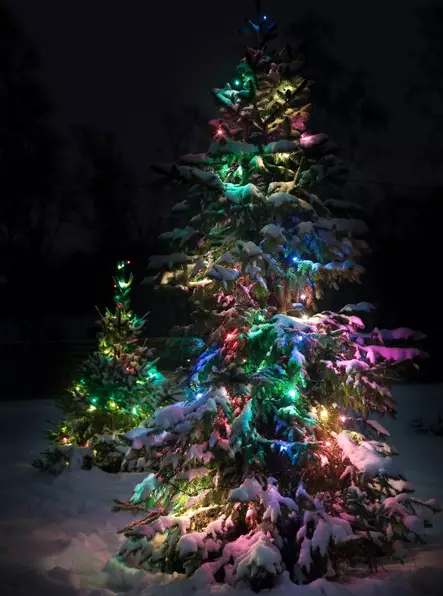 värikäs valoketju 80led multicolor - Valoketjut ulko- ja sisäkäyttöön - 6410416014951 - 1