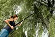 Teleskooppisaha Fiskars - Oksasahat - 5905561366051 - 2