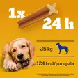 Koiran makupala purutikku dentastix large - Koiran hampaidenhoitotuotteet - 5010394006781 - 3