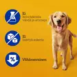Dentastix puruluut vähentävät hammaskiveä - Koiran hampaidenhoitotuotteet - 5010394006781 - 4