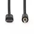 Usb sovitinkaapeli yhteensopiva useimpien usb c laitteiden ja kaiuttimien kanssa - RCA-, AUX- ja audiokaapelit - 5412810406791 - 2