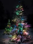 värikäs valoketju 80led multicolor - Valoketjut ulko- ja sisäkäyttöön - 6410416014951 - 1