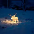 Hirven muotoinen led valokoriste sisä ja ulkokäyttöön - Led-eläimet - 7318302251031 - 4