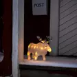 Paristokäyttöinen led hirvi ip44 jouluvalaistus - Led-eläimet - 7318302251031 - 3