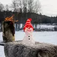 Konstsmide lumiukko led valokoriste sisä ja ulkokäyttöön - Led-eläimet - 7318302491031 - 4