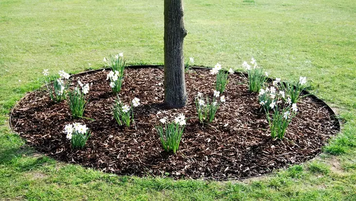 metallireuna puulle ympyrä - Nurmikon reunanauhat ja keinonurmet - 6430068430091 - 1