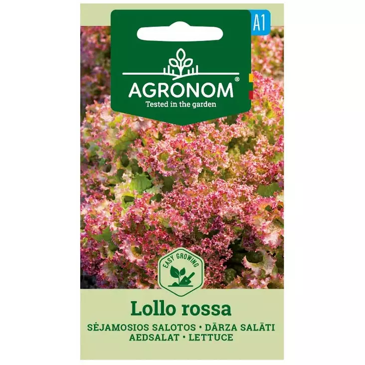Salaatti lollo rossa - Siemenet - 4770168142251 - 1