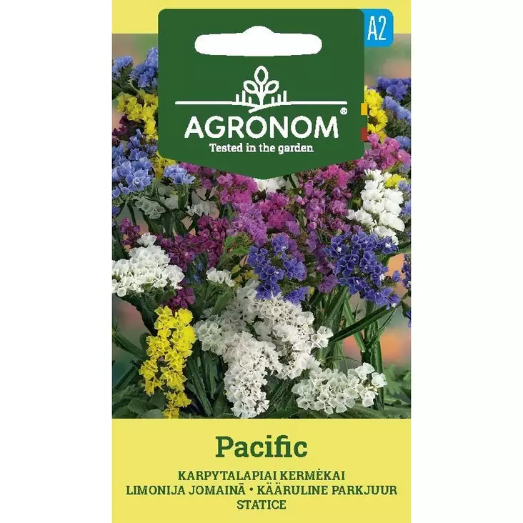Agronom sini ikiviuhko pacific - Siemenet - 4770168226081 - 1
