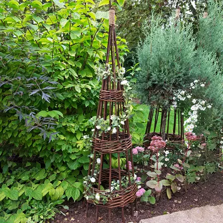 pajuobeliski 90 cm kartio - Pensaskehikot ja kasvituet - 6430068432422 - 1