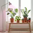 Kasvivalo tomaateille ja koristekasveille led energie horti 9 w - E27 lamput - 6418536037492 - 2