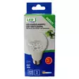 Led kasvivalo a60 e27 tuotepakkaus - E27 lamput - 6418536037492 - 5