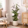 Tekokasvi klematis 98 cm - Tekokasvit ja tekokukat - 8721037896702 - 2