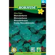 Hornum pensasköynnöskrassi blue pepe siemenpussi - Siemenet - 5708787011442 - 1