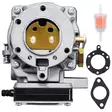 Kaasutin briggs stratton 42a707 ja 42e707 moottoreihin - Ruohonleikkurin kaasuttimet, polttoaine - 6438471355062 - 1
