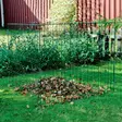 Lehtien kompostointiverkko kehys - Lehtisäkit ja kompostorit - 6438168087542 - 2