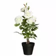 Valkoinen ruusu ruukussa tekokasvi 49 cm - Tekokasvit ja tekokukat - 6410416435862 - 1