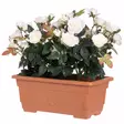Valkoiset tekoruusut parvekeruukussa - Tekokasvit ja tekokukat - 6410416439662 - 4