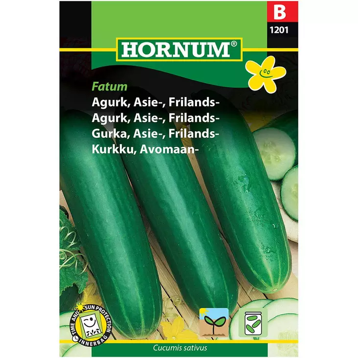 hornum avomaankurkku fatum - Siemenet - 5708787012012 - 1