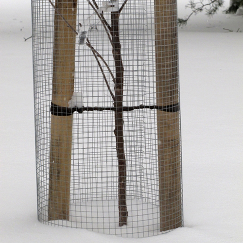 Vihre=C3=A4 myyr=C3=A4verkko - Katiskaverkot ja jyrsijäverkot - 6430040621042 - 1