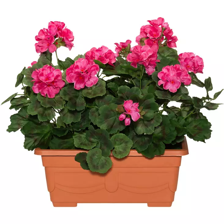 Tekokasvi pelargonia parvekkeelle - Tekokasvit ja tekokukat - 6410416319902 - 1
