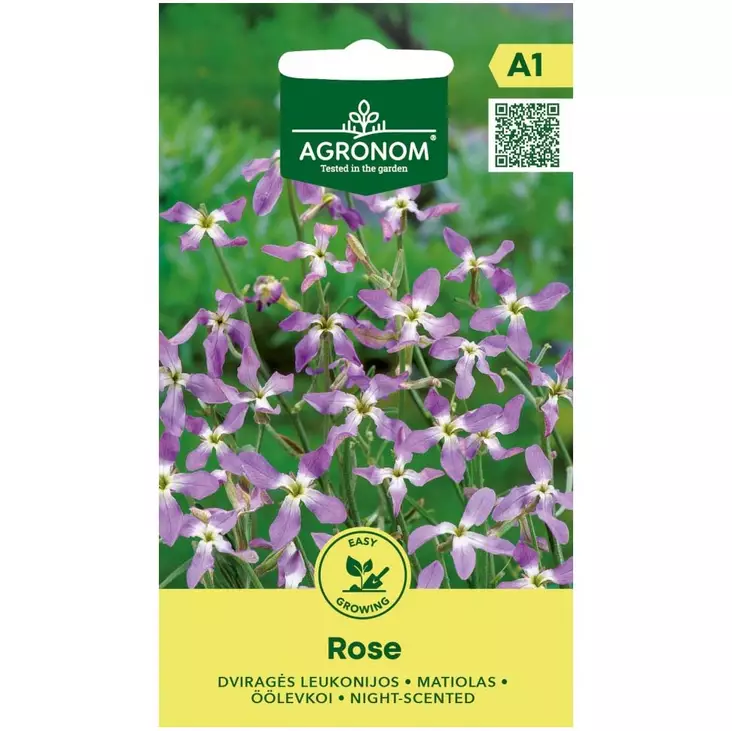 Kesäkukka rose sarvileukoija - Siemenet - 4770168235052 - 1