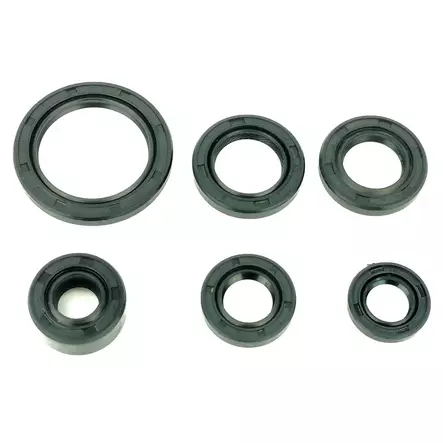 hondatype stefasarja alapuoliseen moottoriin - Mönkijän moottorin tiivisteet - 43020013 - 2