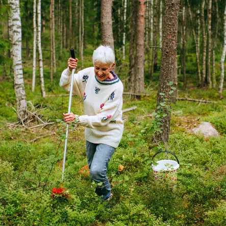 Pitkävartinen marjanpoimuri marjukka - Marjastustarvikkeet ja mehustimet - 6410416228983 - 2